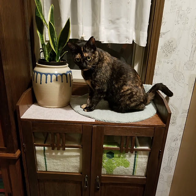 sato-roo45さんの実例写真
