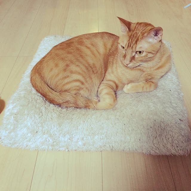 Minamiさんの実例写真