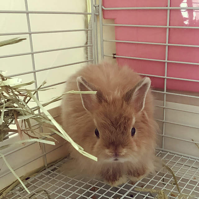 mさんの実例写真