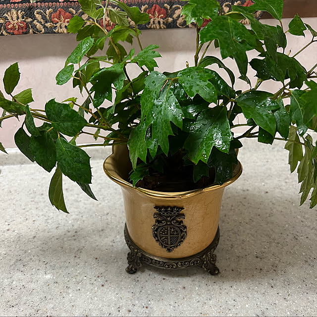 AYUKOさんの実例写真