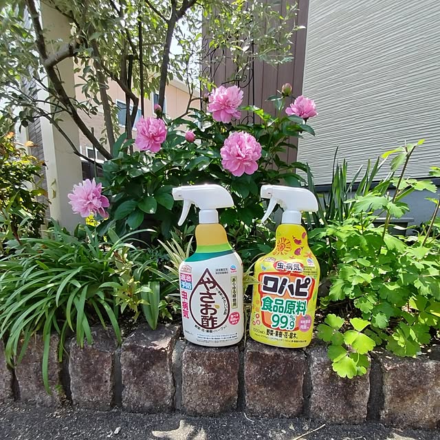 mutsuさんの部屋