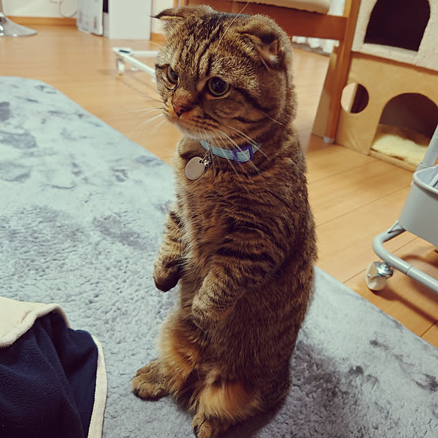 noguriさんの実例写真
