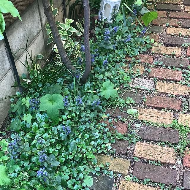mori_6_12さんの実例写真