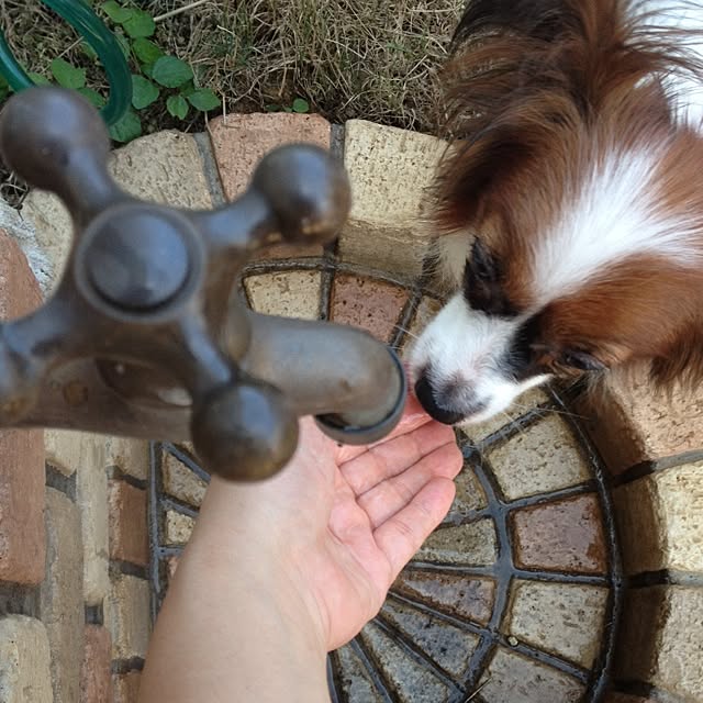 Link_Honeyさんの実例写真