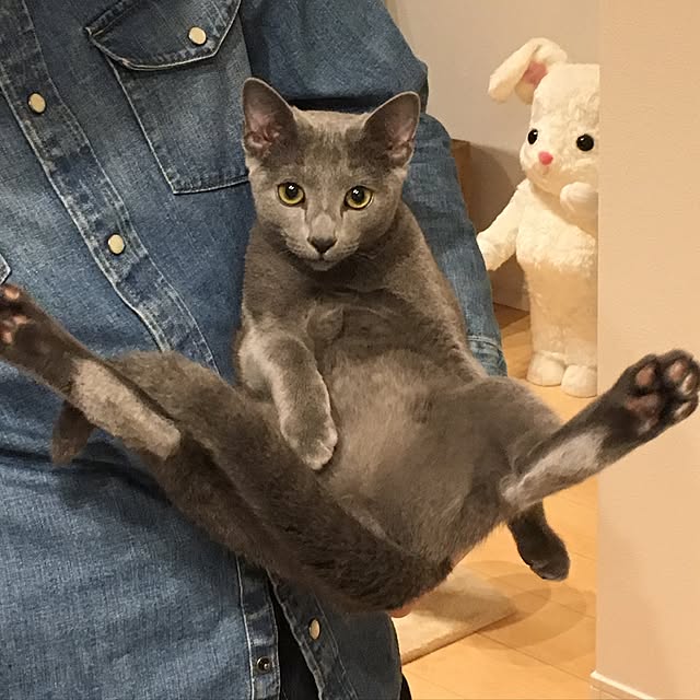 maripoさんの実例写真
