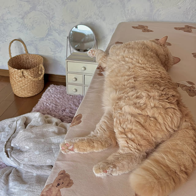naokoさんの実例写真