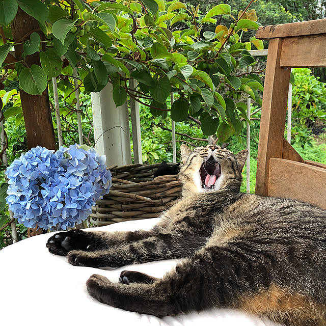 weさんの実例写真