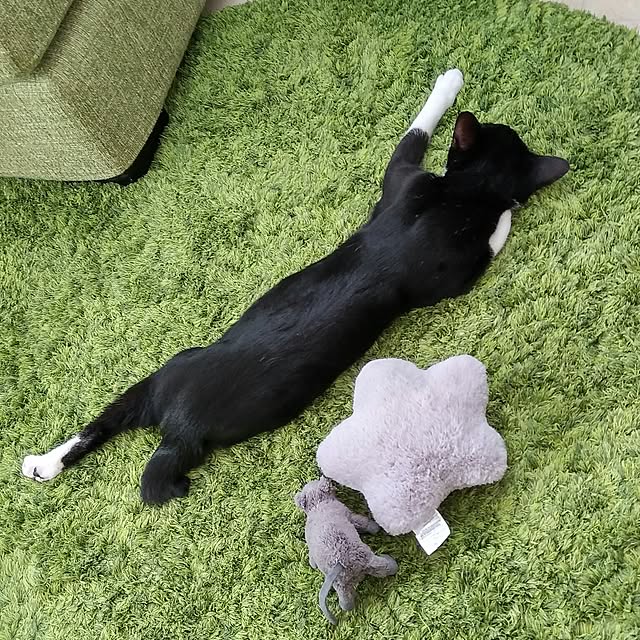 Gomaさんの実例写真