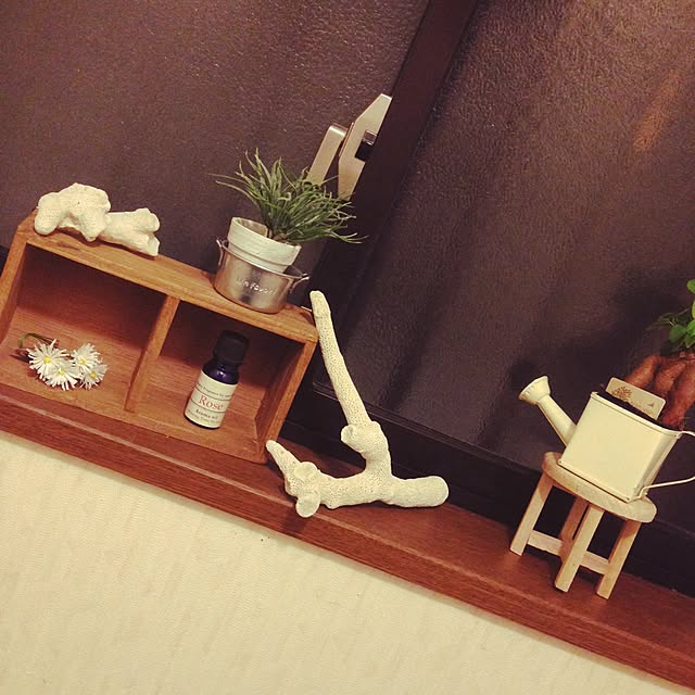 Shunsukeさんの実例写真