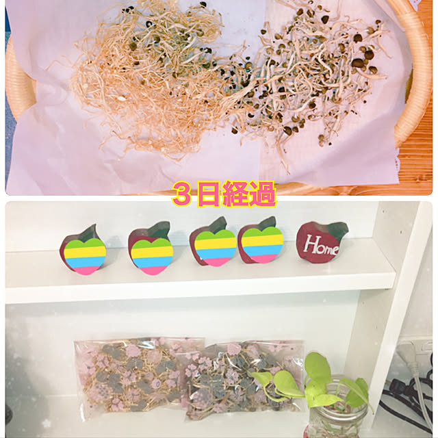 rizumu4649さんの実例写真