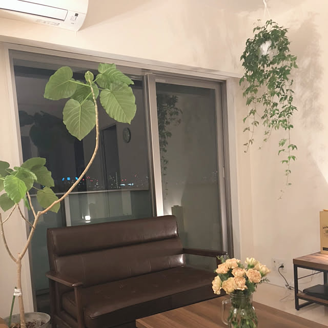 hathiko8さんの部屋