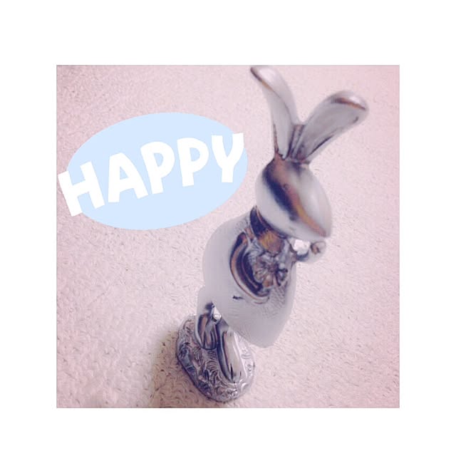 noariさんの実例写真