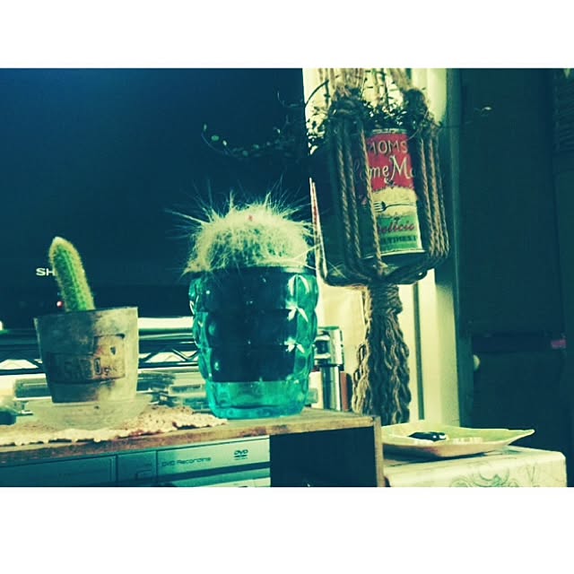 Lemon__chouさんの実例写真