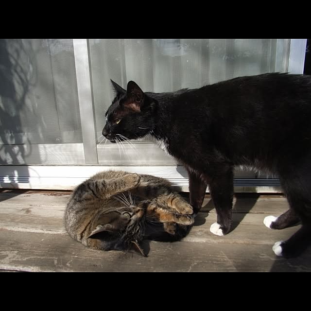 Keikoさんの実例写真