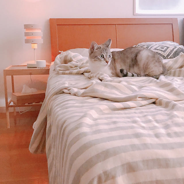 milkcocoaさんの実例写真