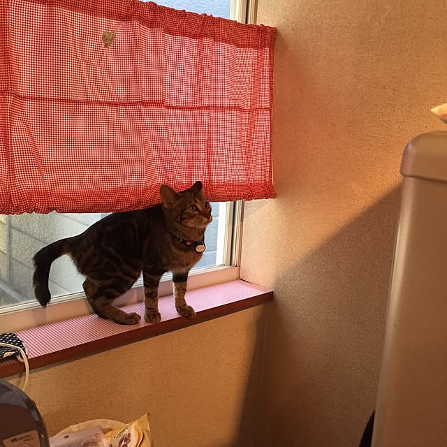 MARON1111さんの実例写真