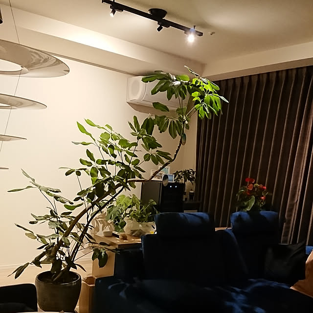 mohri1022さんの実例写真