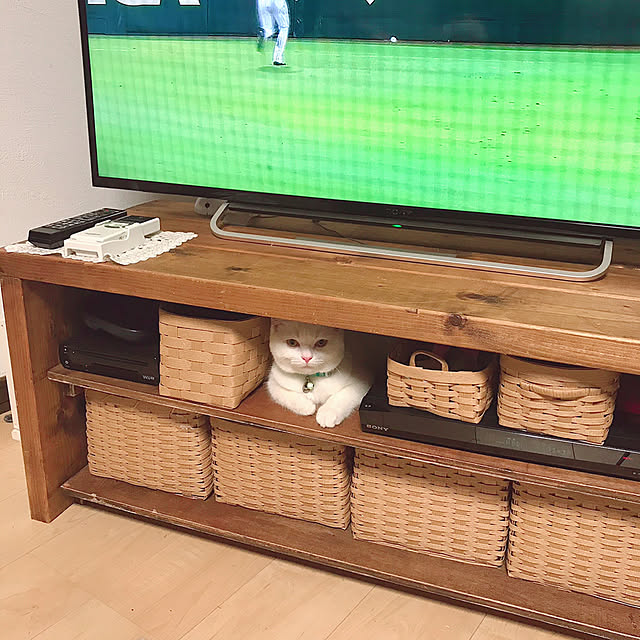 kotoriさんの実例写真