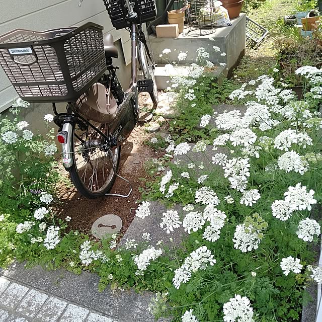 showさんの実例写真