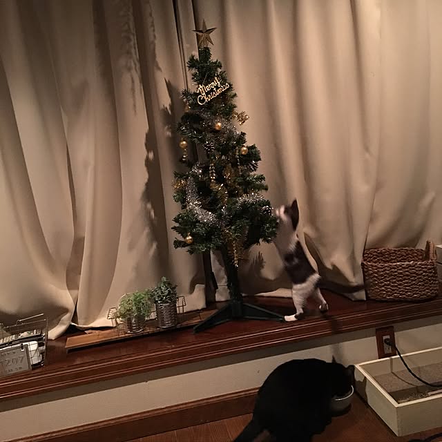 mahi1101さんの実例写真