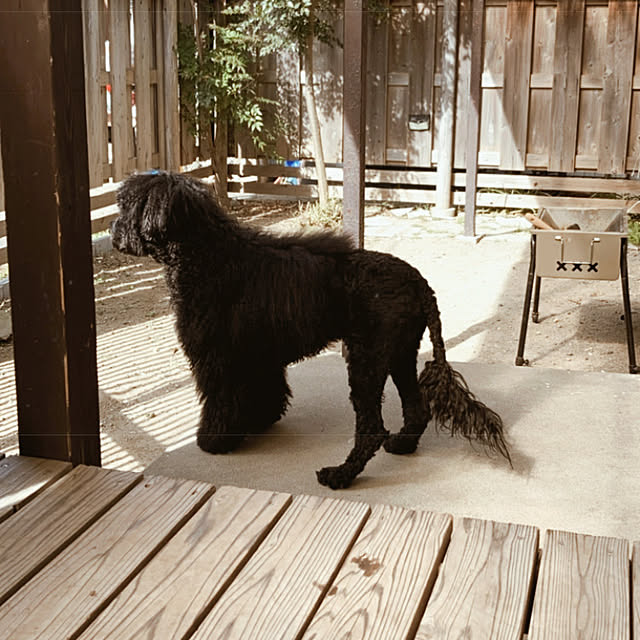 7さんの実例写真
