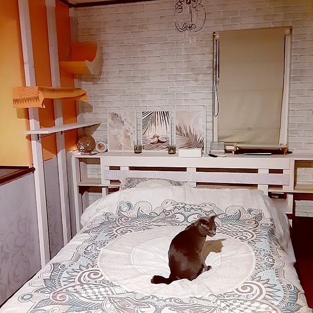 meguさんの部屋