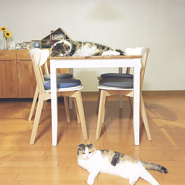 necocoさんの実例写真