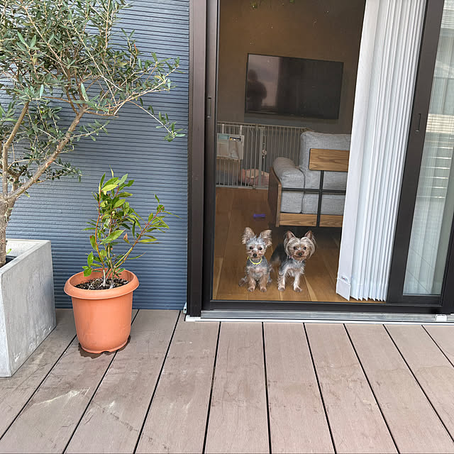 Y33355さんの部屋