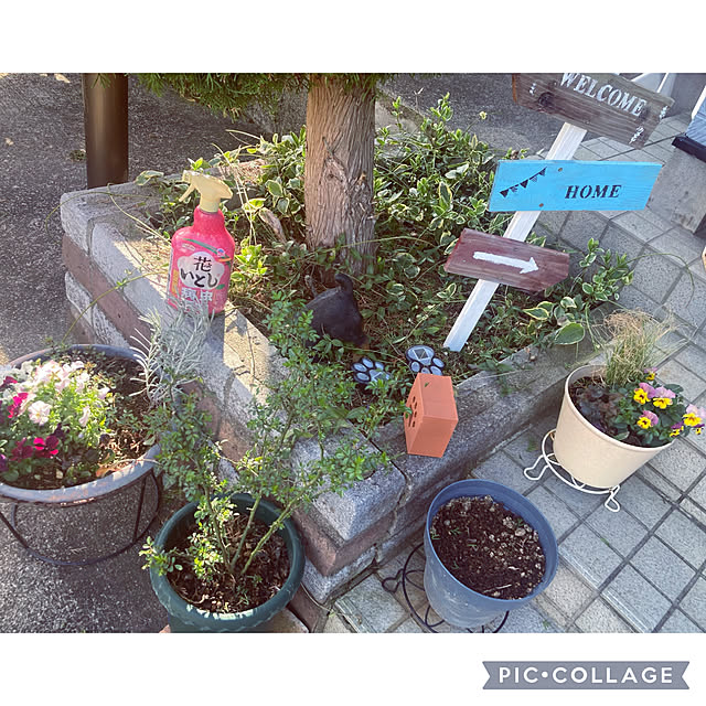 CoCo0617さんの実例写真