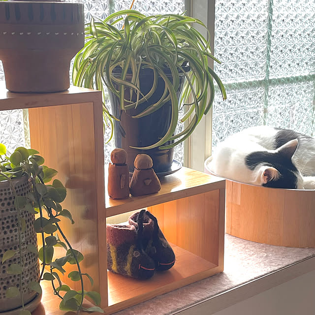 nobikoさんの部屋