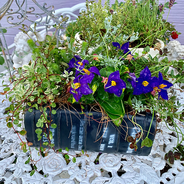 AYUKOさんの実例写真