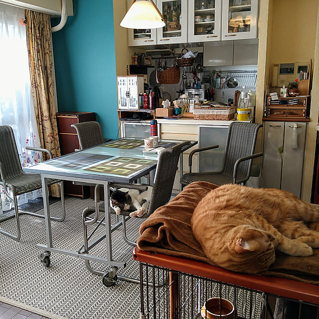 okyosan101さんの実例写真
