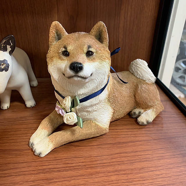 kotatsuさんの実例写真