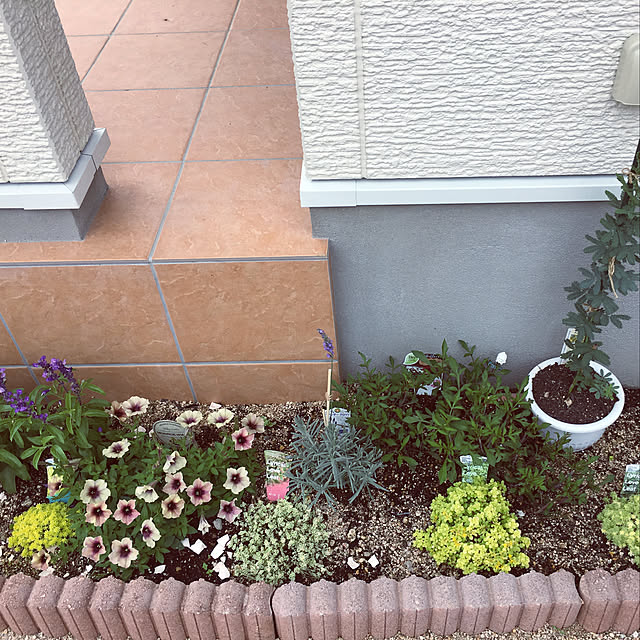 n.m.wsさんの実例写真