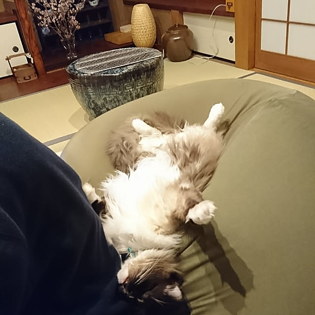 coffee-groundsさんの実例写真