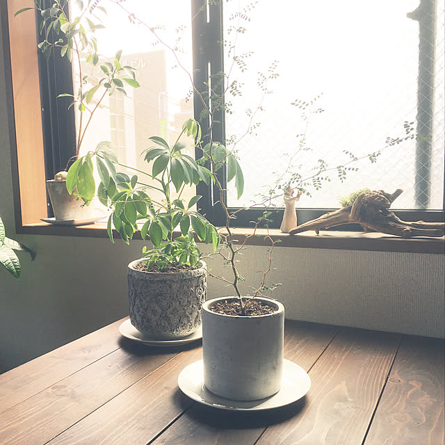 coffee-to-chocolateさんの実例写真
