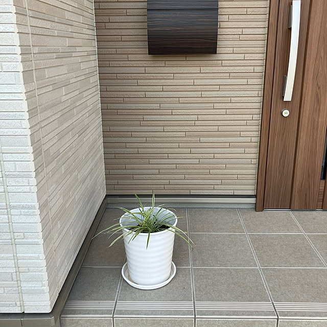 satomiさんの実例写真