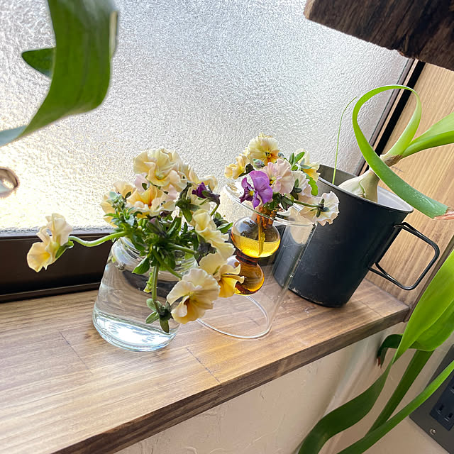 nekosamaさんの部屋