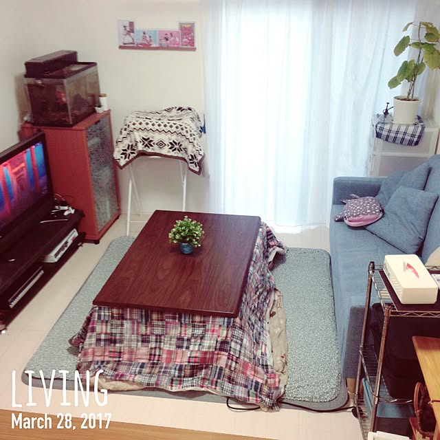 midoriさんの実例写真