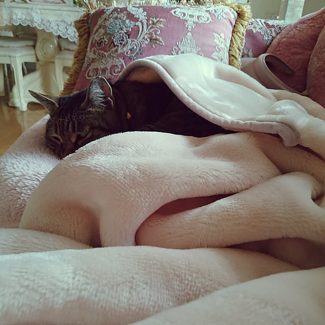 lilyさんの実例写真