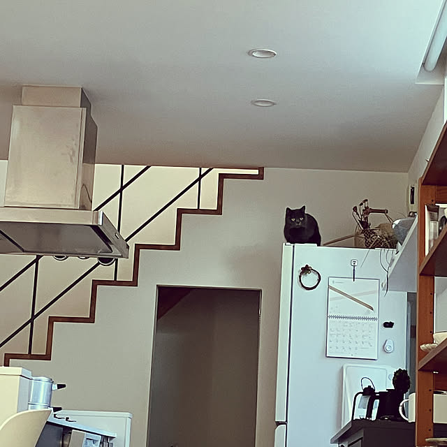 KOHAREさんの部屋