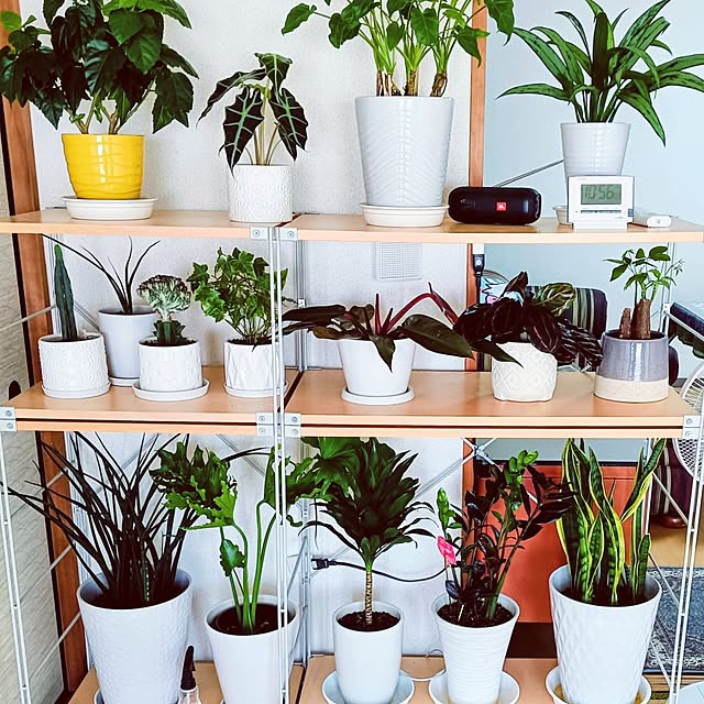 hanachanさんの実例写真