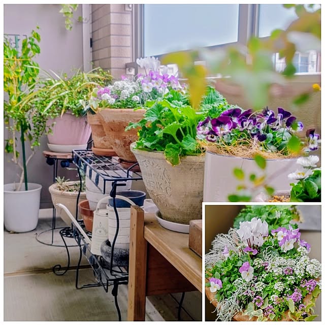 YuriYuriさんの部屋