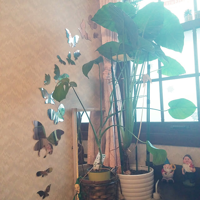 Tさんの実例写真