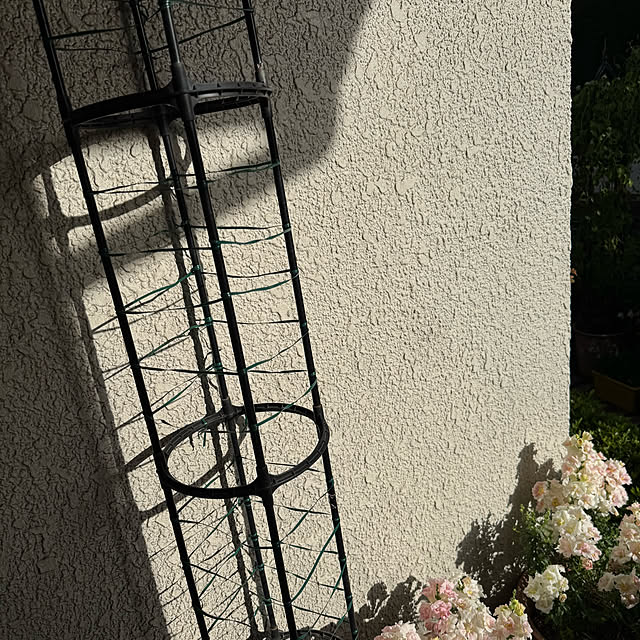 mamizaさんの部屋