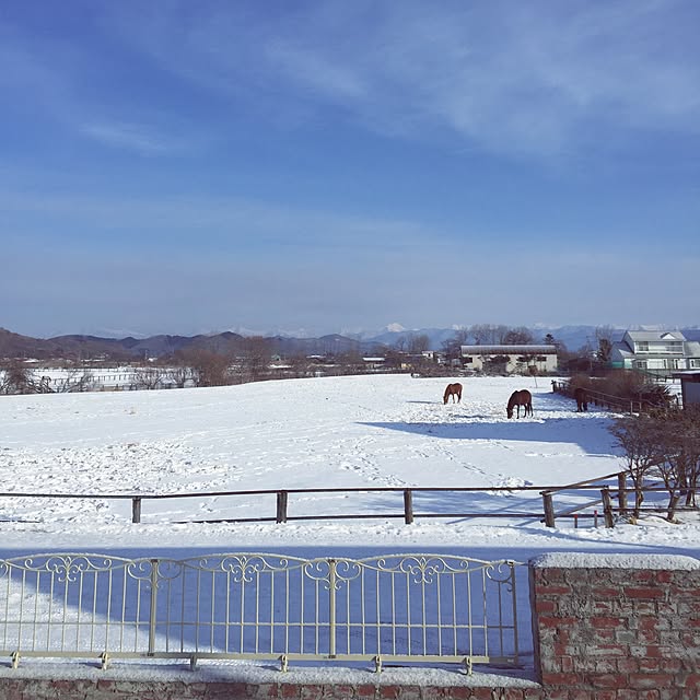 実例写真