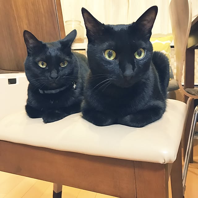 yuki0511さんの実例写真