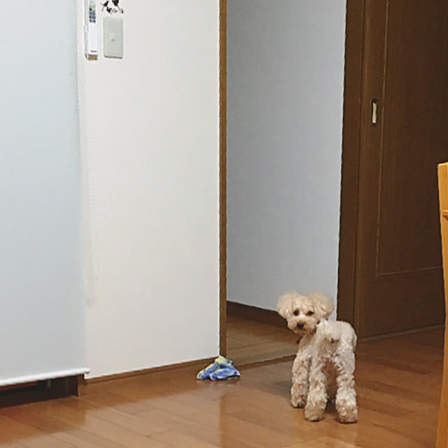 jun15さんの実例写真