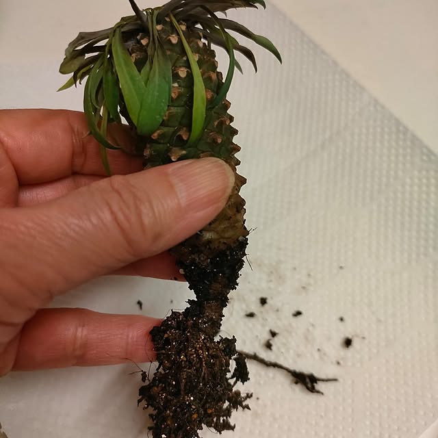 Yoko622さんの部屋