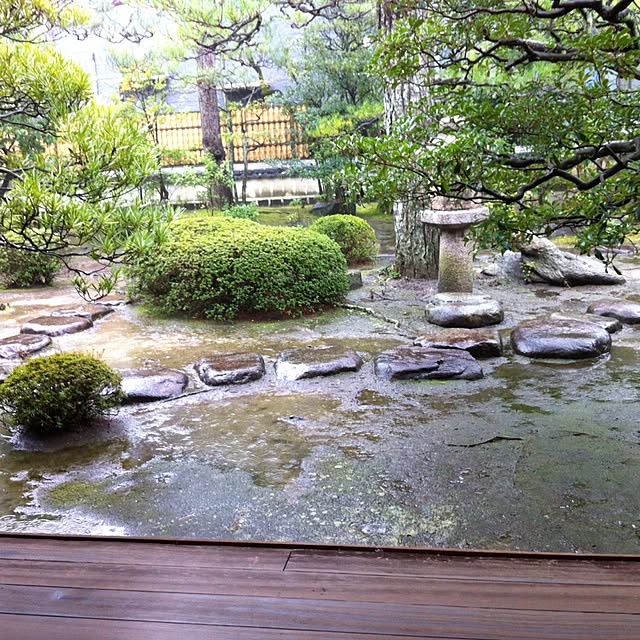 Shigeさんの実例写真